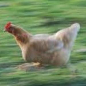 Meet your Posher, Leah